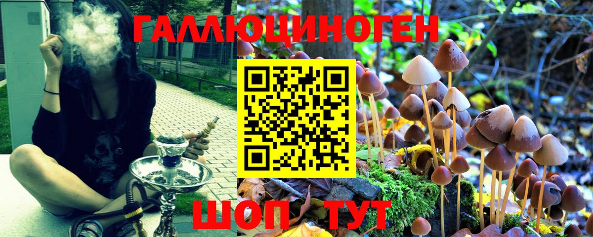Псилоцибиновые грибы ЛСД Москва