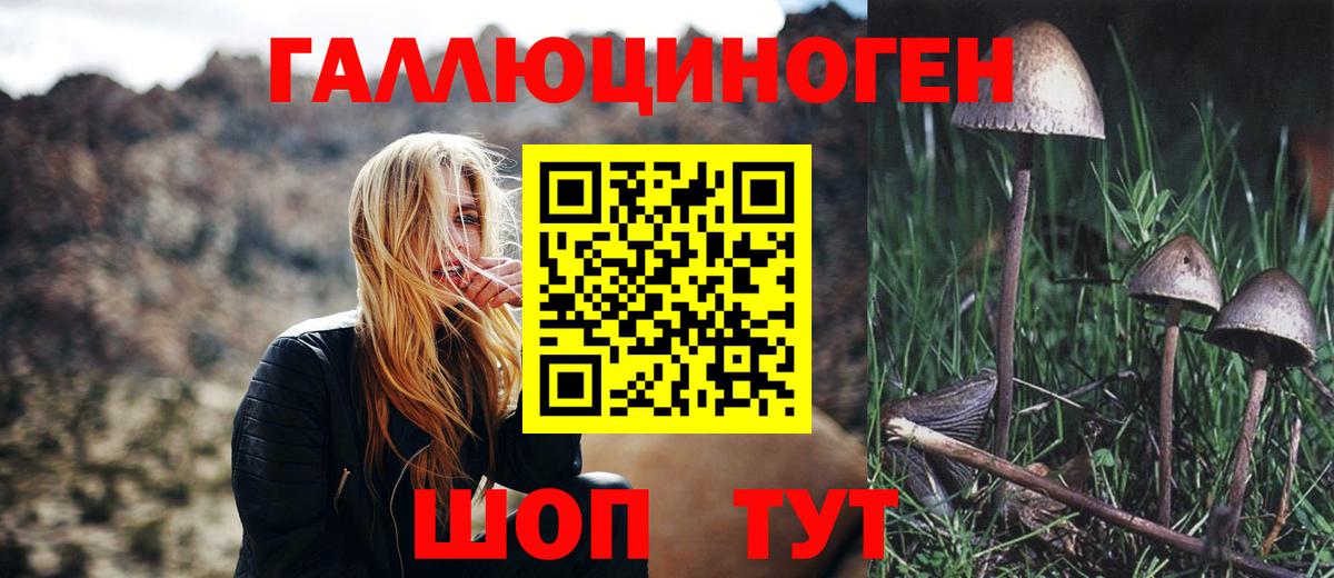 Москва  Галлюциногенные грибы GOLDEN TEACHER  Вход с VPN 